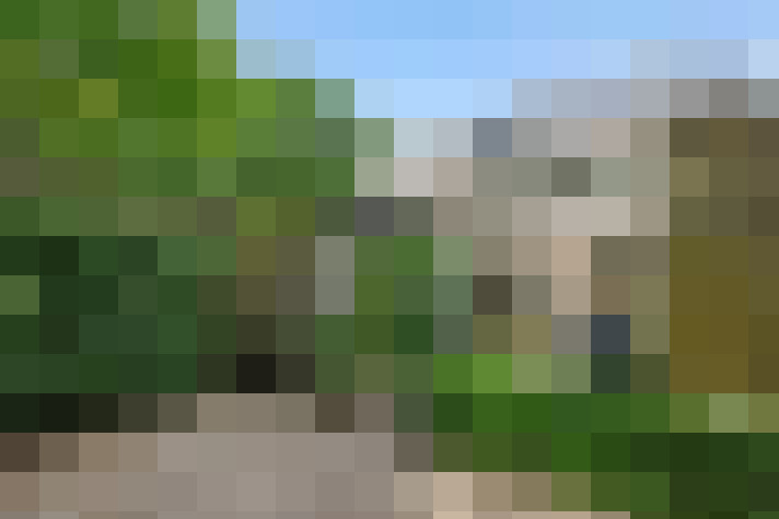 Image 25
