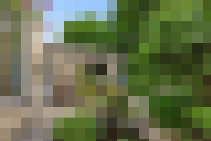 Image 22