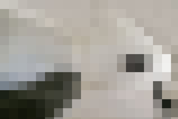 Image 20