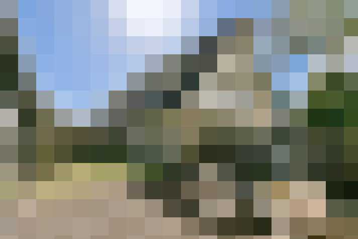Image 15