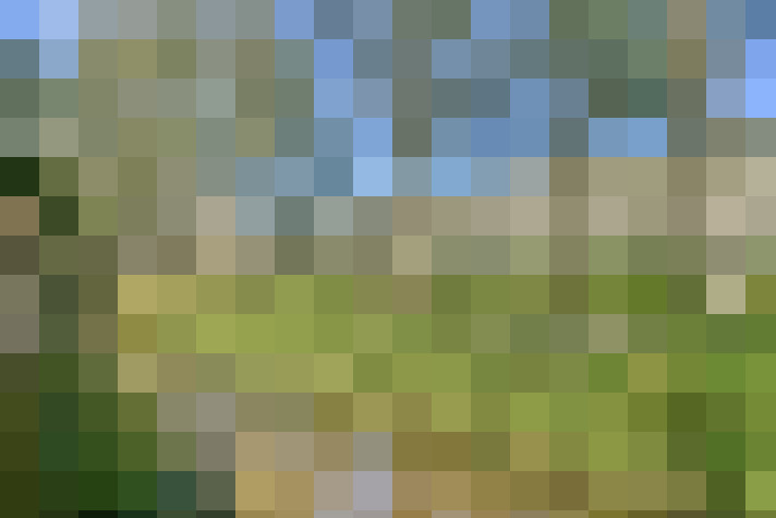 Image 33