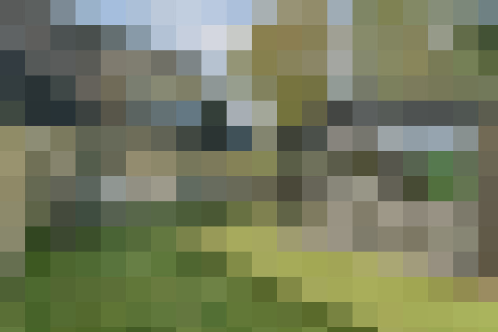 Image 16