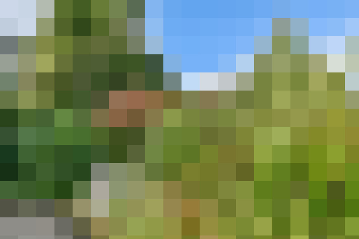 Image 34