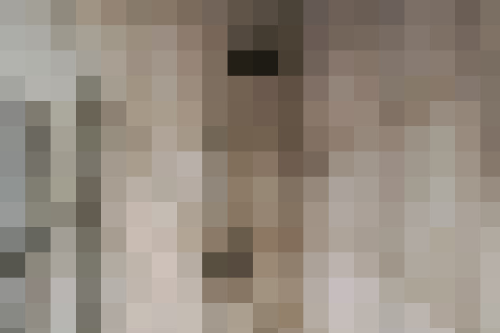 Image 24
