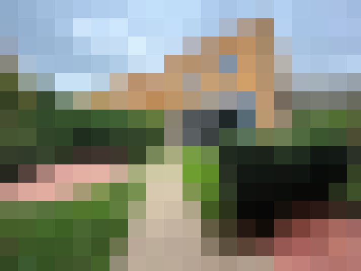 Image 15