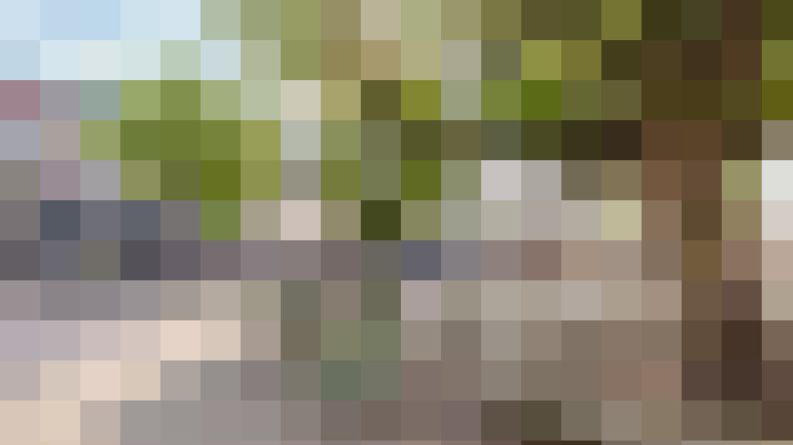 Image 55