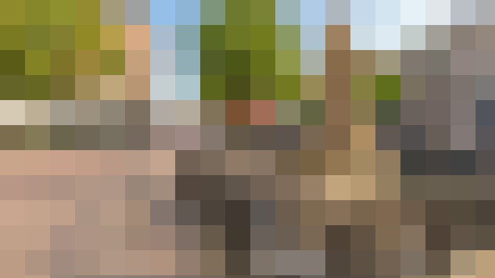 Image 52