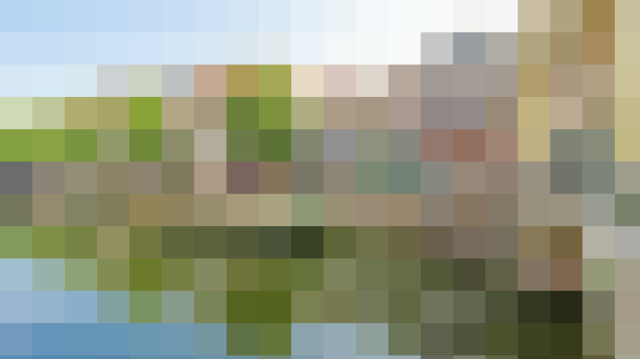 Image 53