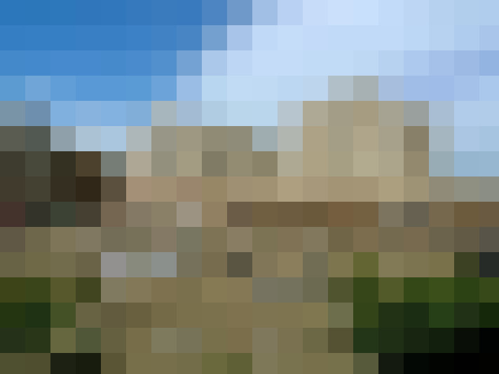 Image 17