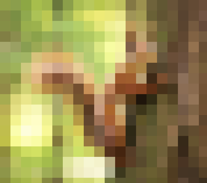 Image 22
