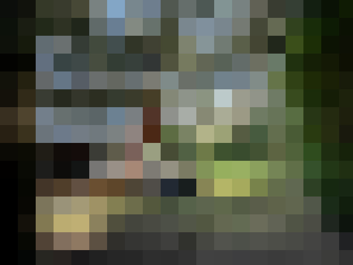 Image 20
