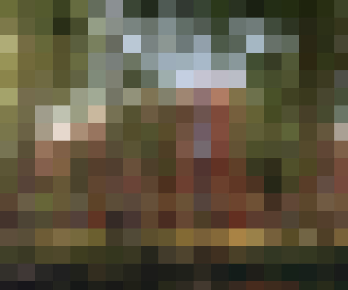 Image 15