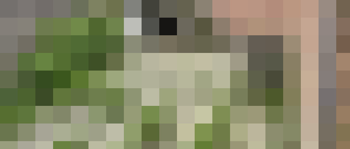 Image 13