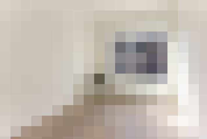 Image 20