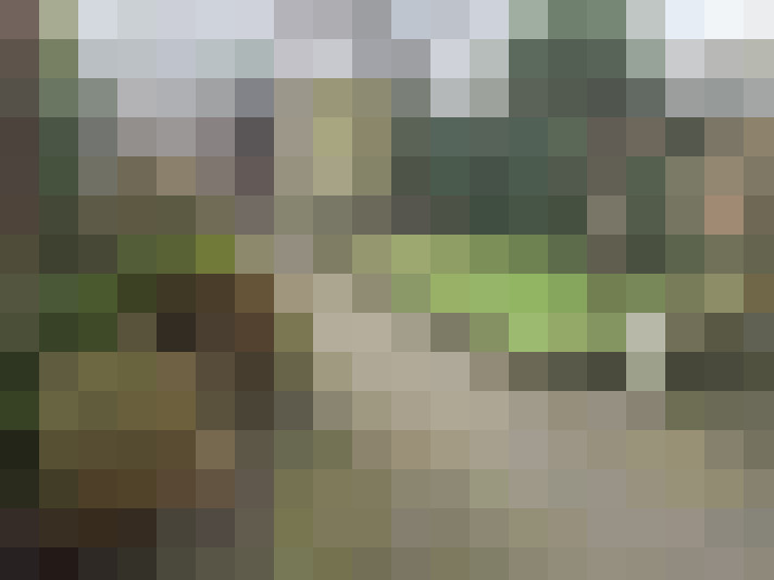 Image 25
