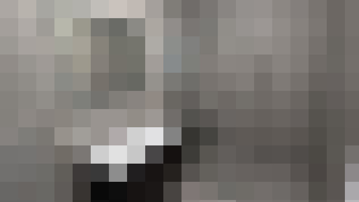 Image 29