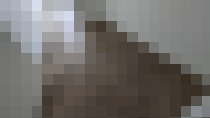 Image 22