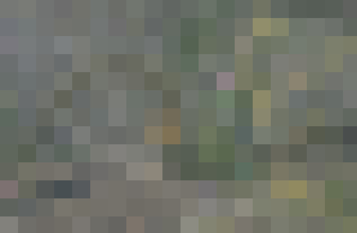 Image 46
