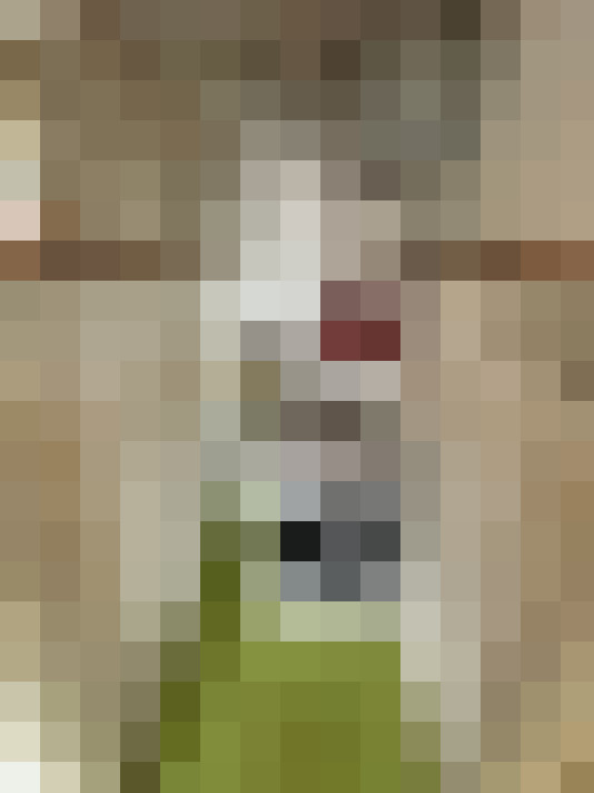Image 15