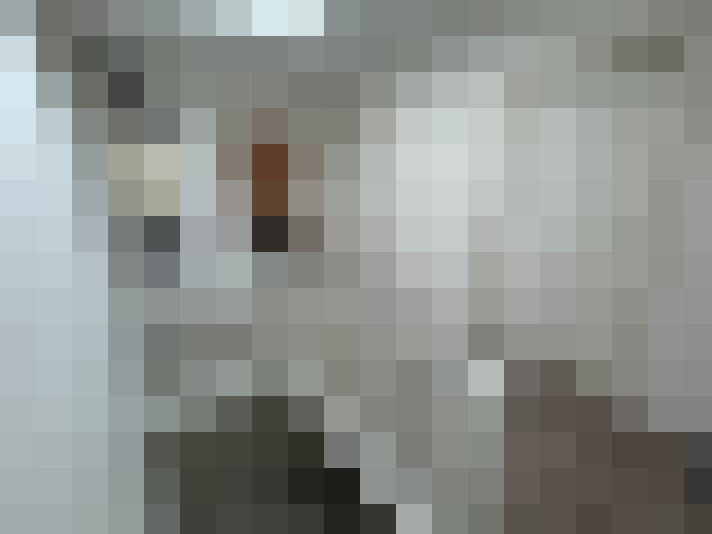 Image 14