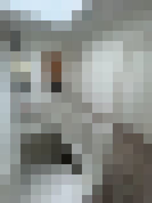 Image 17