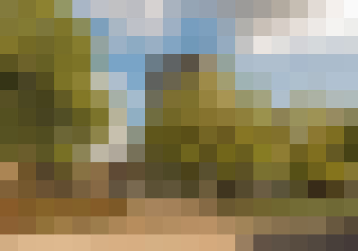 Image 21