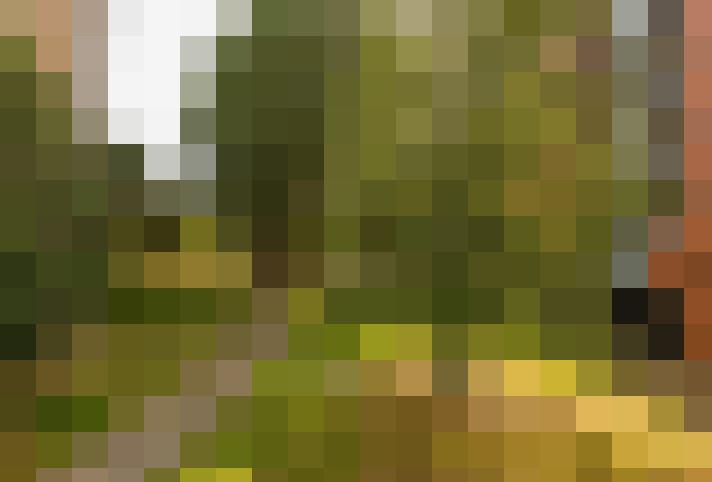 Image 23