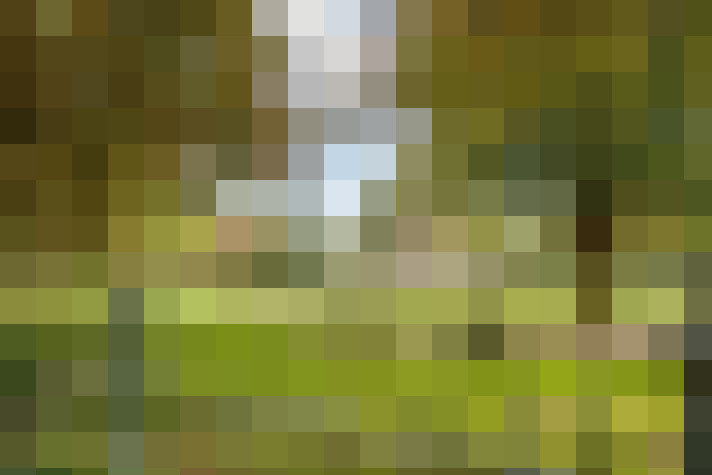 Image 27
