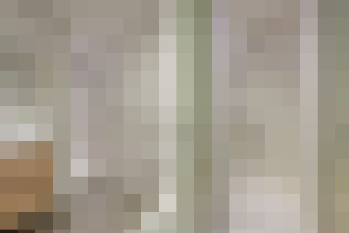 Image 16
