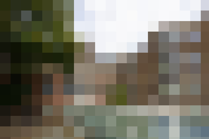 Image 13