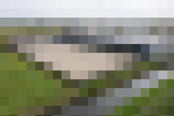 Image 64