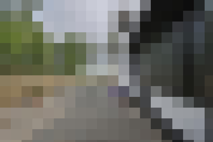 Image 56