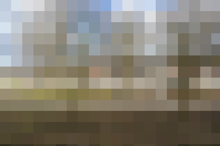 Image 15