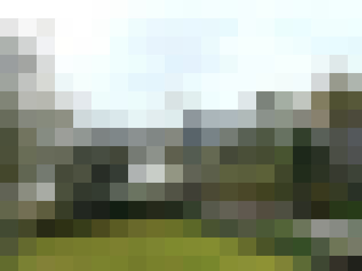 Image 15