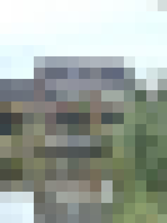 Image 37