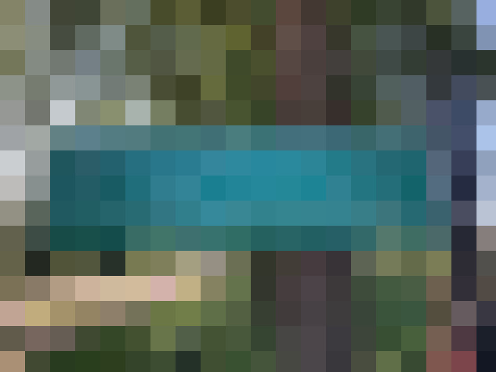 Image 41