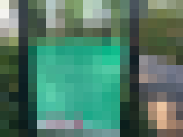 Image 42