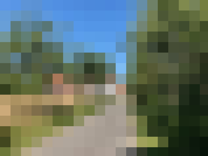 Image 38