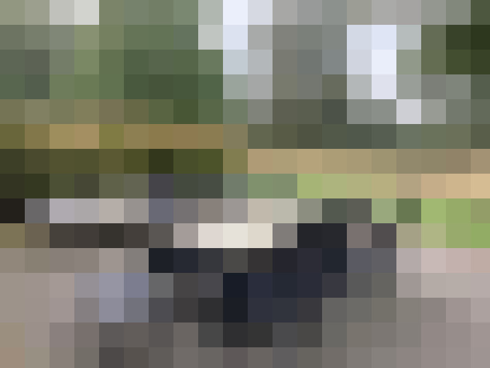 Image 28