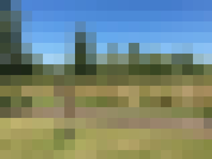 Image 33