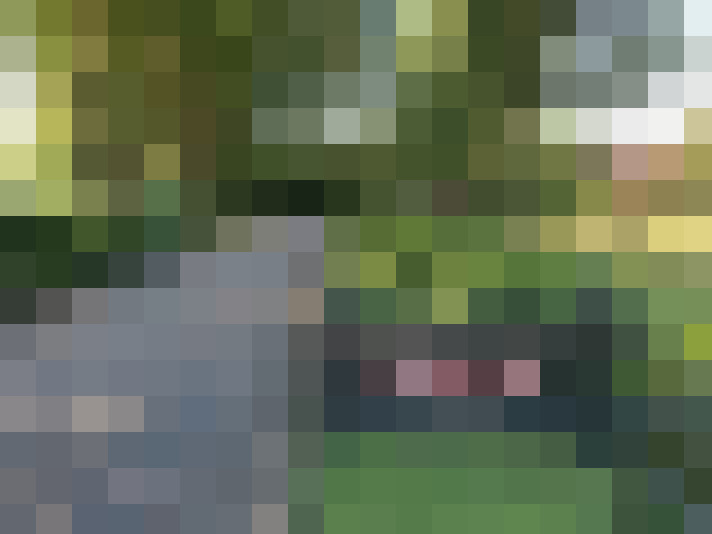 Image 40