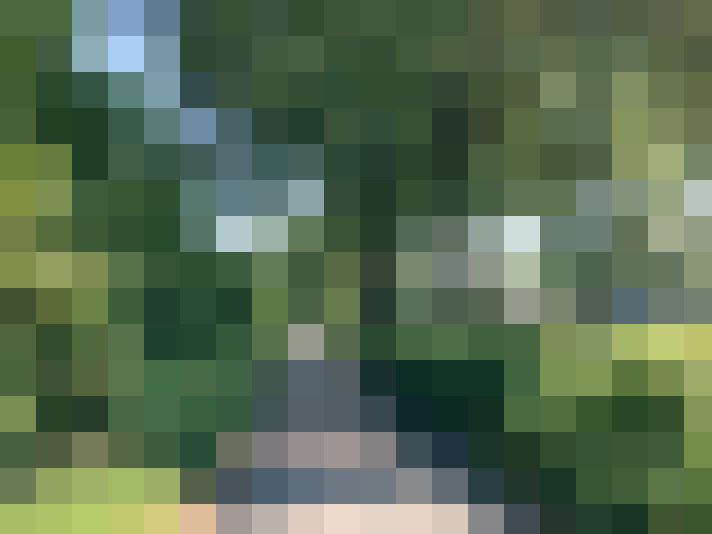 Image 39