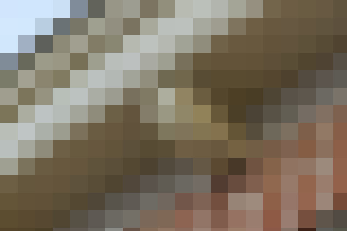 Image 29