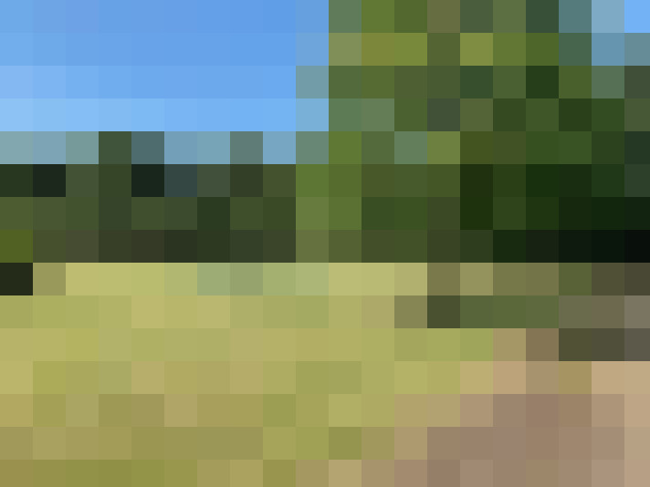 Image 32