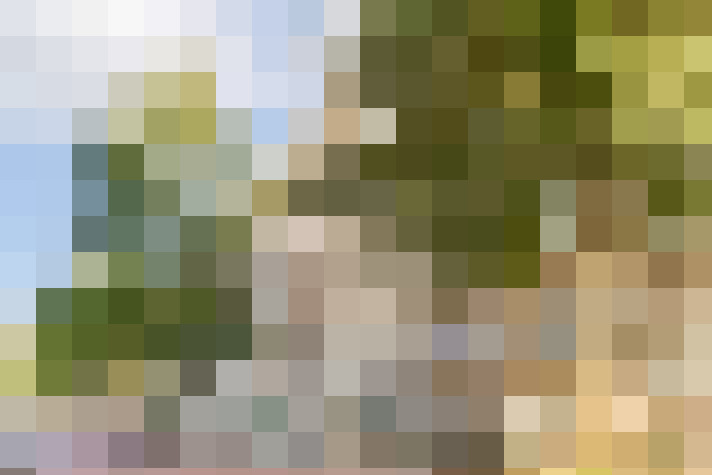 Image 27