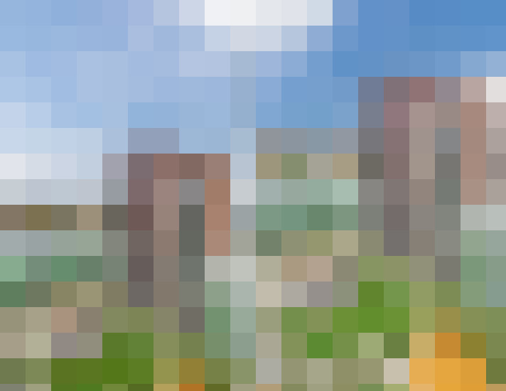 Image 22