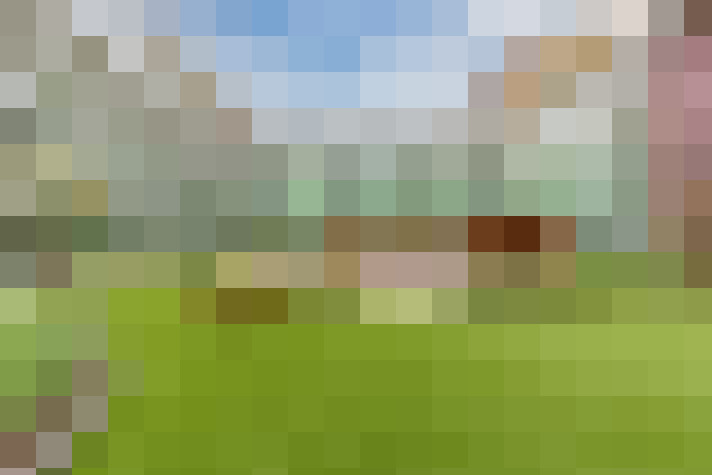 Image 24