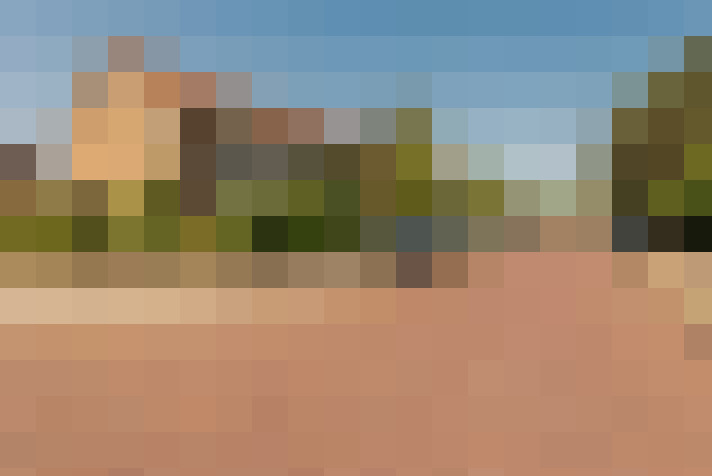 Image 21