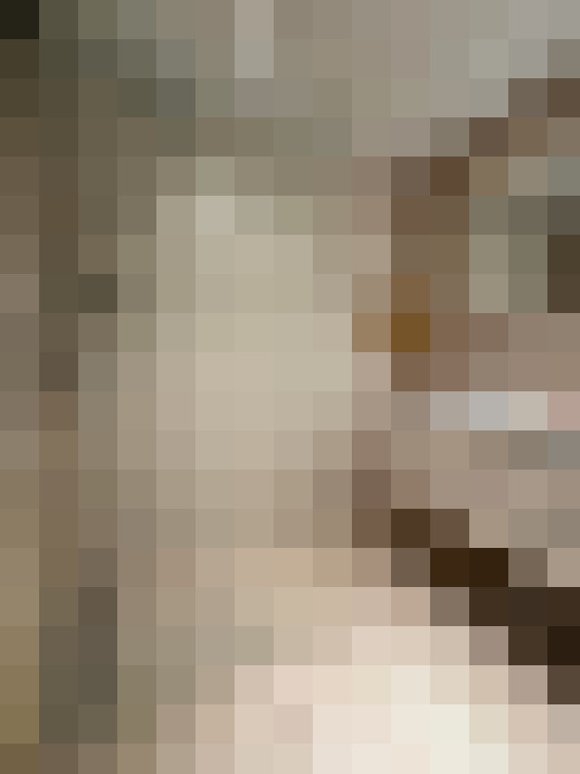 Image 31