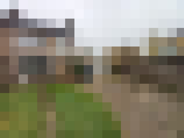 Image 20